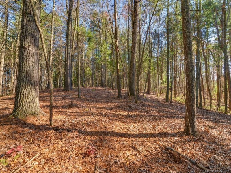 Property image 3 at Lot 5 Olivia Trace Drive, Fletcher, NC 28732