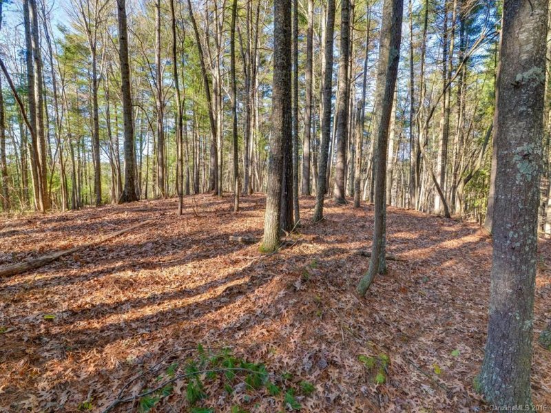 Property image 4 at Lot 5 Olivia Trace Drive, Fletcher, NC 28732