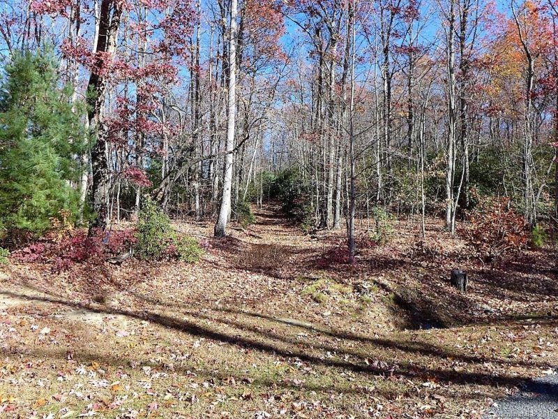Property image 4 at 2d Reserve Road, Pisgah Forest, NC 28768