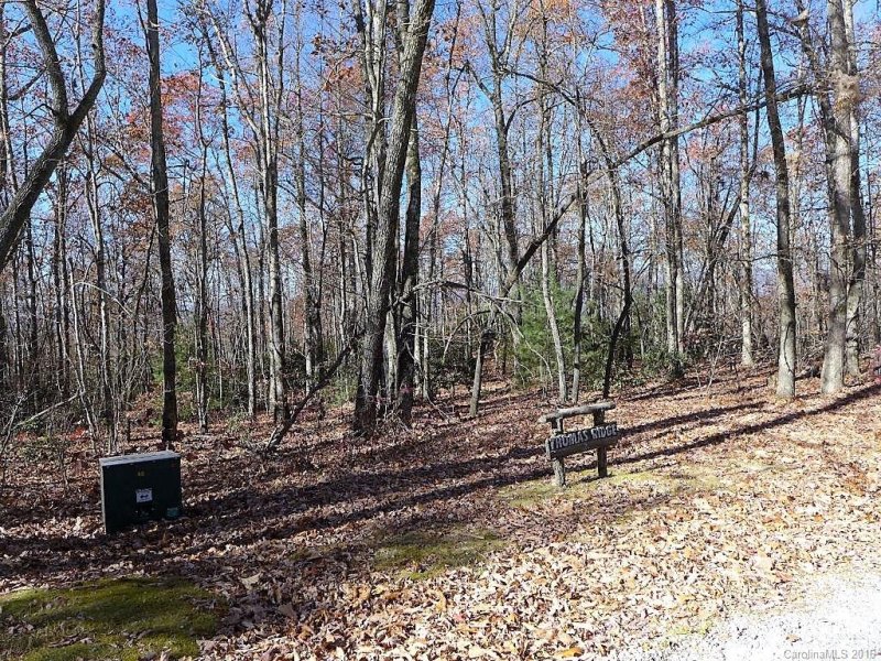 Property image 5 at 2d Reserve Road, Pisgah Forest, NC 28768