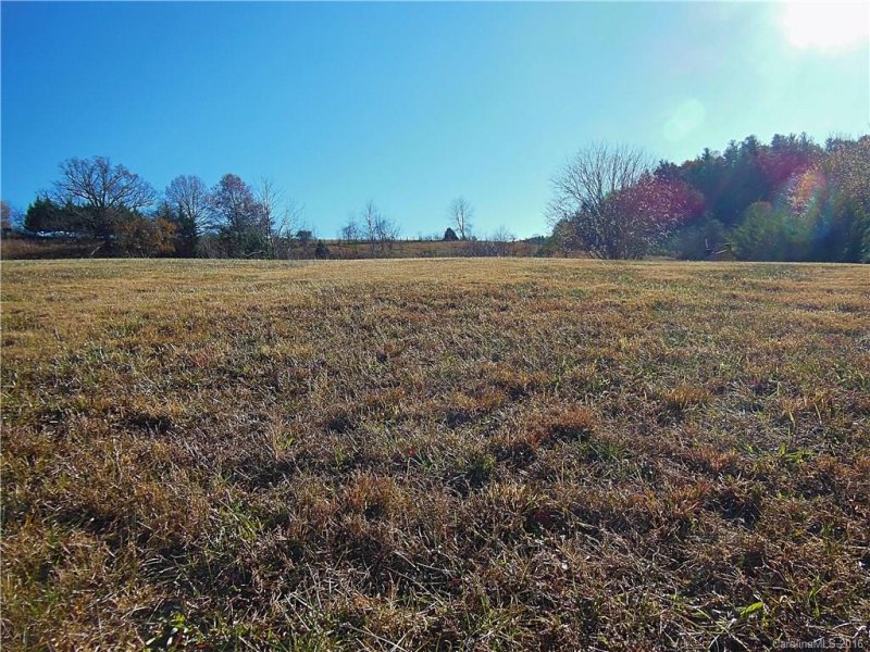 Property image 3 at 9999 Farmstead Road, Leicester, NC 28748