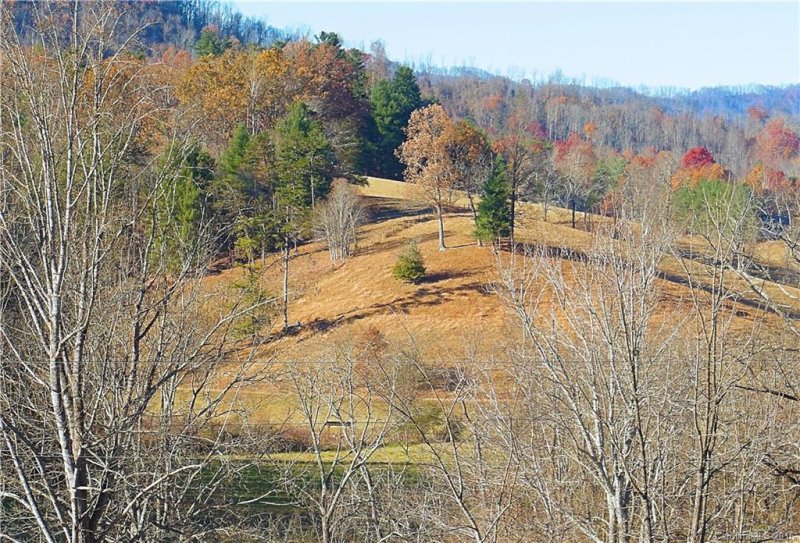 Property image 4 at 9999 Farmstead Road, Leicester, NC 28748