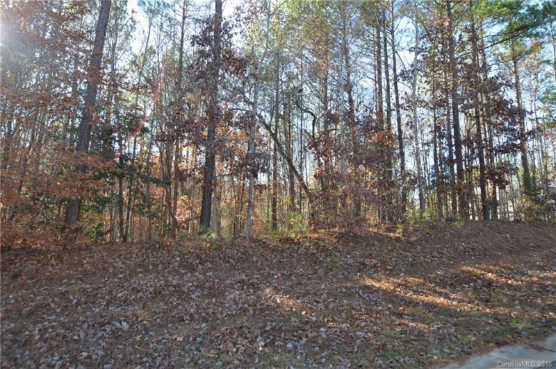 Property image 3 at 20 Windy Ridge Drive, Iron Station, NC 28080