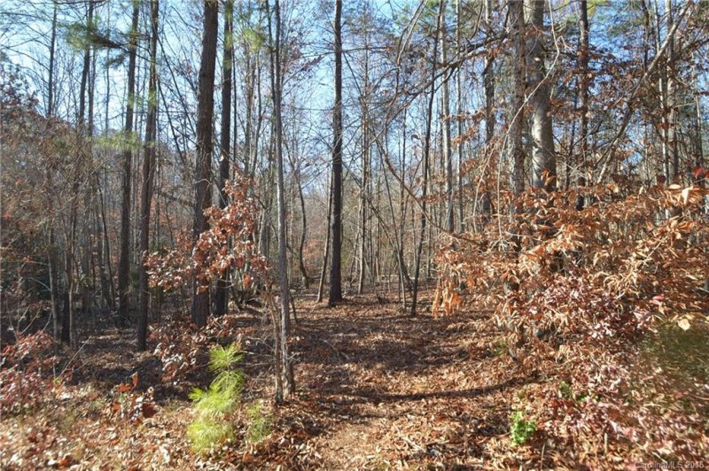 Property image 5 at 20 Windy Ridge Drive, Iron Station, NC 28080