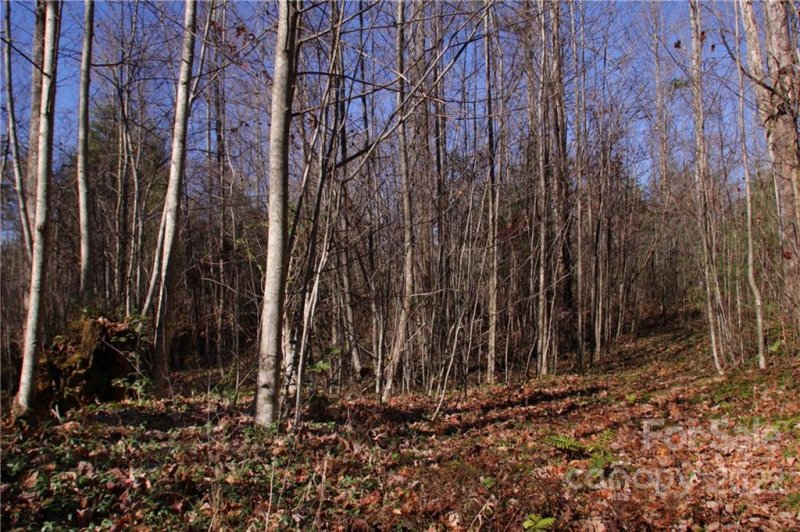 Property image 2 at Lot 63 Peppervine Circle, Brevard, NC 28712