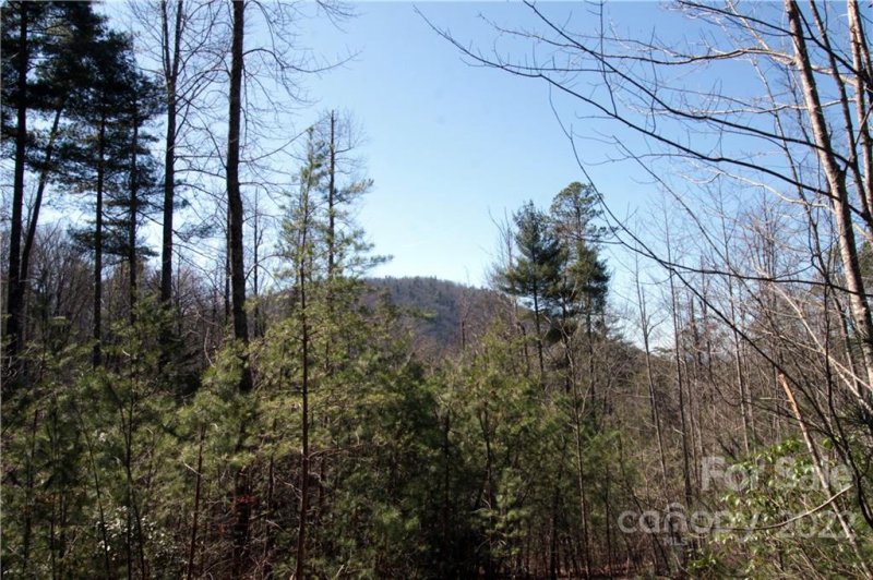 Property image 2 at Lot 62 Peppervine Circle, Brevard, NC 28712