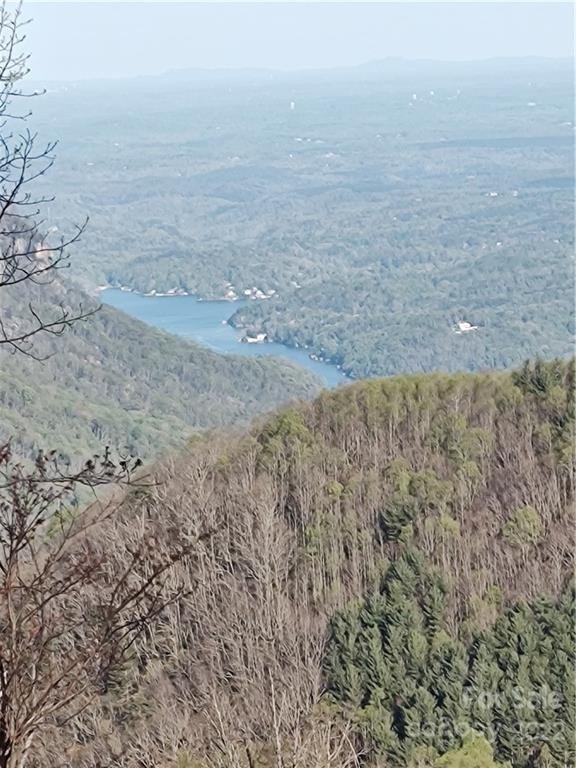 Property image 2 at 119 N Lure View Lane, Hendersonville, NC 28792