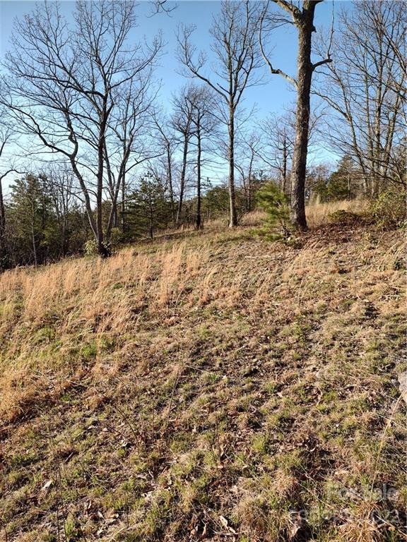 Property image 5 at 119 N Lure View Lane, Hendersonville, NC 28792