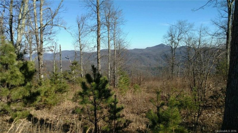 Property image 2 at 170 N Lure View Lane, Hendersonville, NC 28792