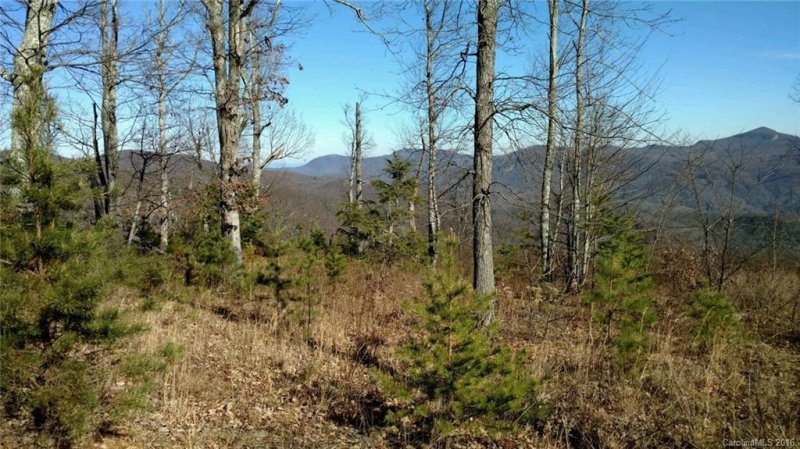 Property image 3 at 170 N Lure View Lane, Hendersonville, NC 28792