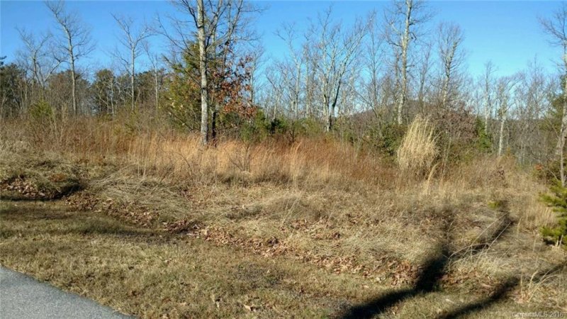 Property image 5 at 170 N Lure View Lane, Hendersonville, NC 28792