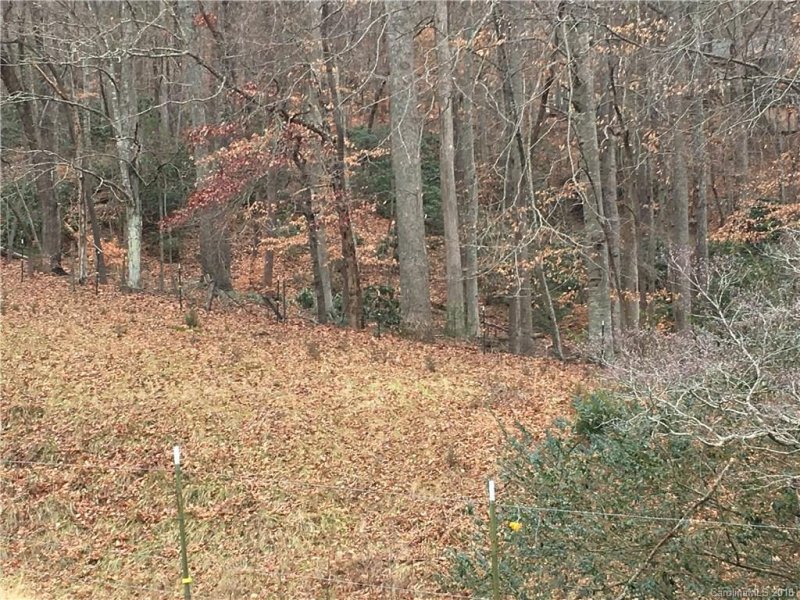 Property image 3 at 000 Riddle Road, Swannanoa, NC 28778