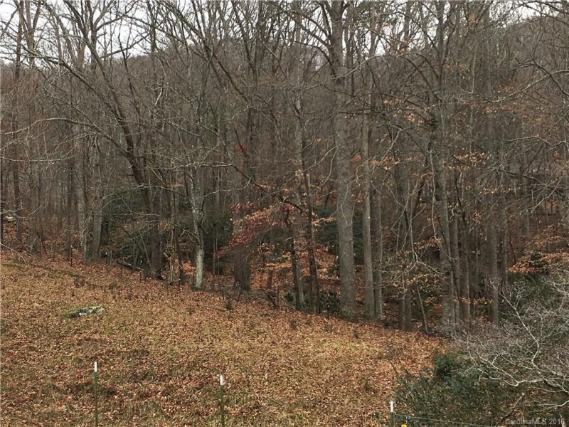 Property image 4 at 000 Riddle Road, Swannanoa, NC 28778