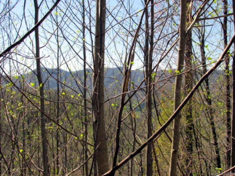 Property image 2 at 103 Chesapeake Lane, Sylva, NC 28779