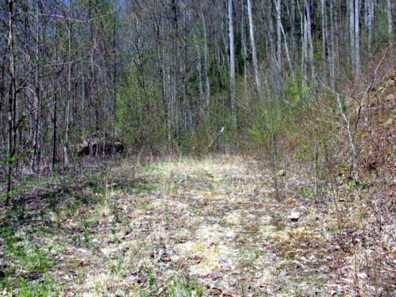 Property image 3 at 103 Chesapeake Lane, Sylva, NC 28779