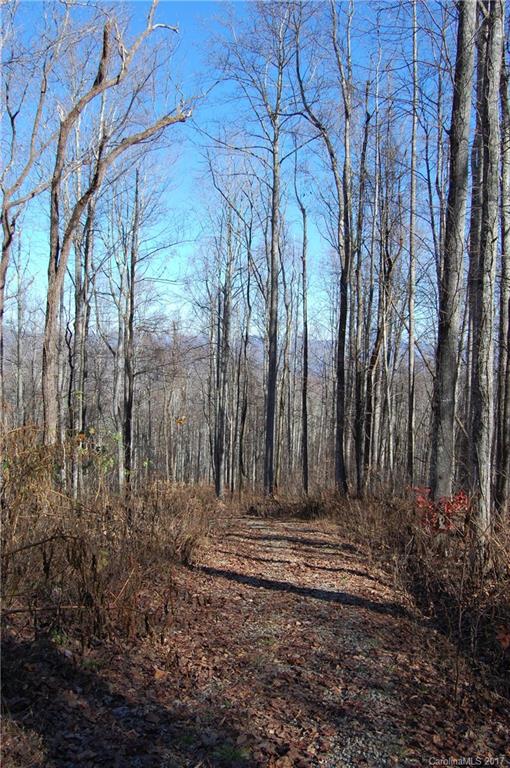 Property image 2 at 9999 Granite Cliffs Court, Waynesville, NC 28785