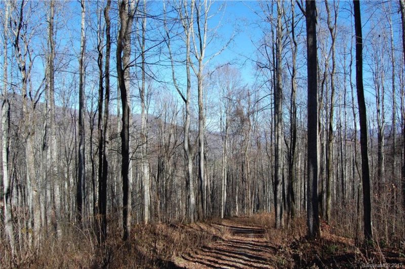 Property image 3 at 9999 Granite Cliffs Court, Waynesville, NC 28785