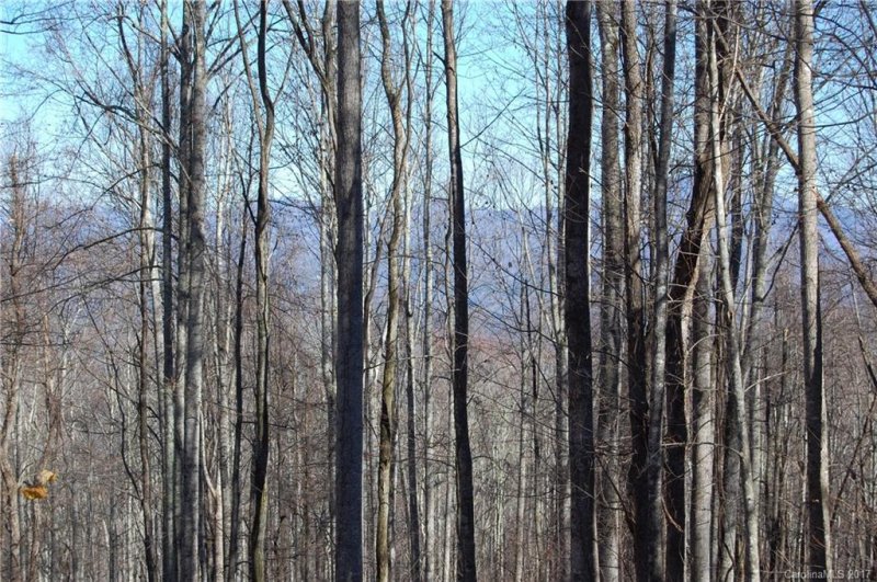 Property image 4 at 9999 Granite Cliffs Court, Waynesville, NC 28785