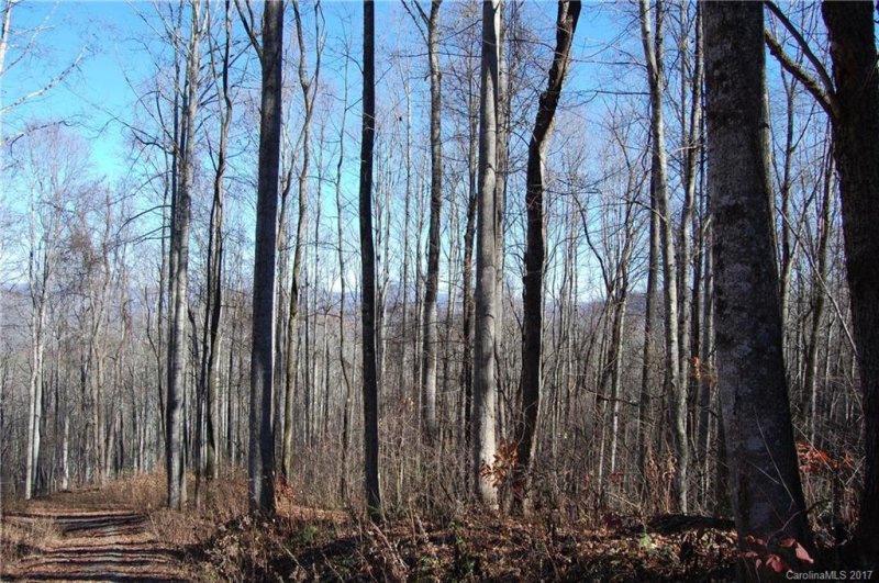 Property image 5 at 9999 Granite Cliffs Court, Waynesville, NC 28785