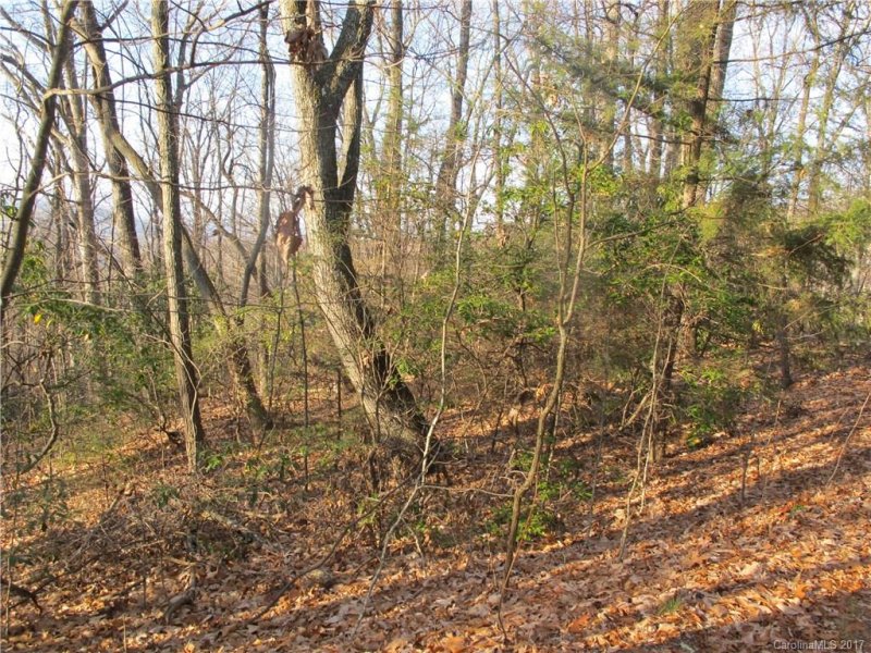 Property image 2 at 27 Burnside Trail, Hendersonville, NC 28791