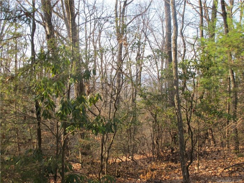 Property image 3 at 27 Burnside Trail, Hendersonville, NC 28791