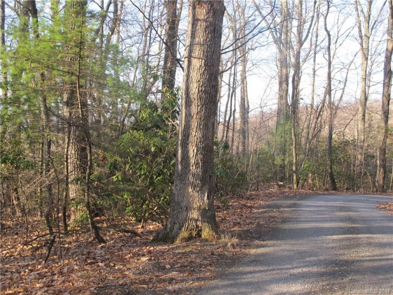 Property image 4 at 27 Burnside Trail, Hendersonville, NC 28791