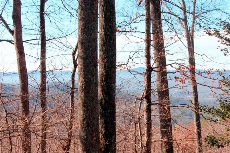 Property image 3 at 24 Burnside Trail, Hendersonville, NC 28791