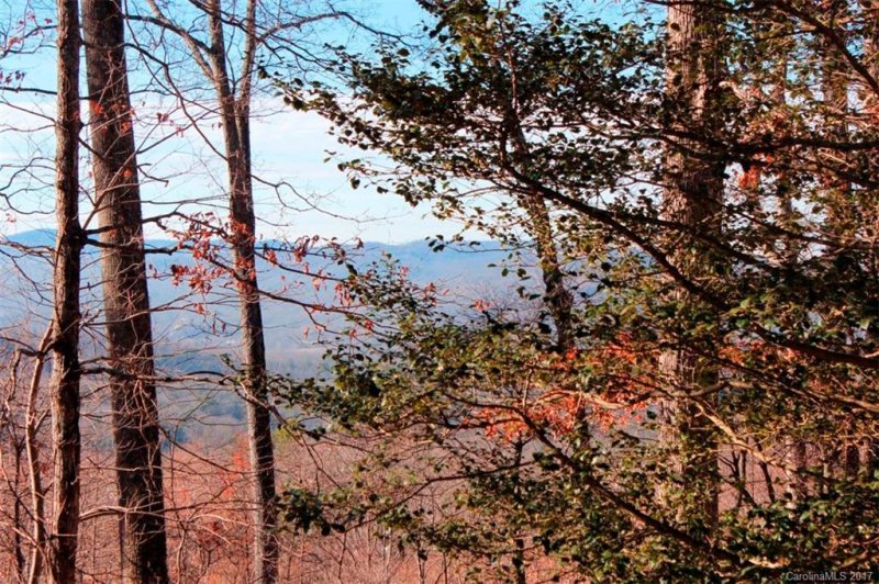 Property image 4 at 24 Burnside Trail, Hendersonville, NC 28791