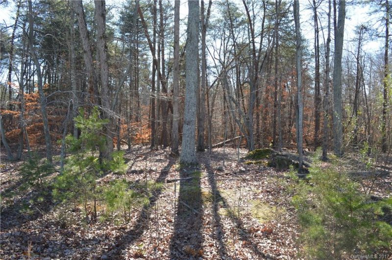 Property image 3 at 1230 Long Creek Lane, Salisbury, NC 28146