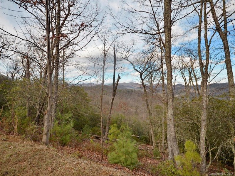 Property image 2 at 862 Mills River Way, Mills River, NC 28742