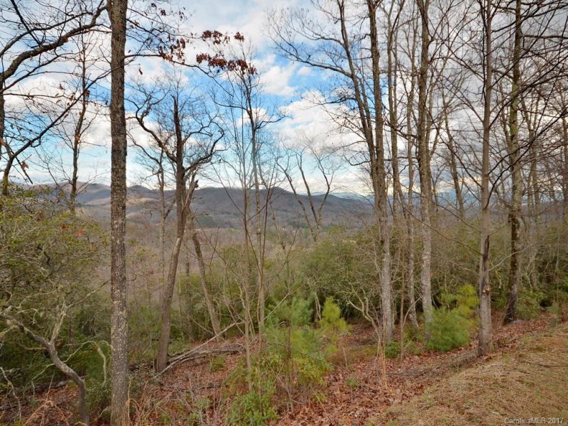 Property image 3 at 862 Mills River Way, Mills River, NC 28742