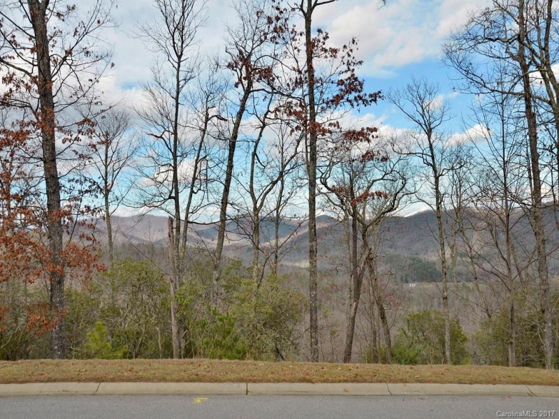 Property image 4 at 862 Mills River Way, Mills River, NC 28742