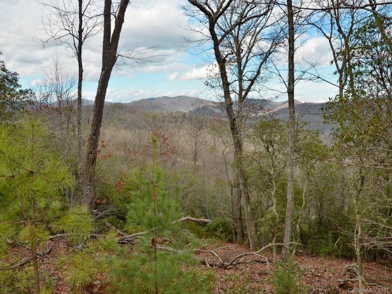 Property image 5 at 862 Mills River Way, Mills River, NC 28742