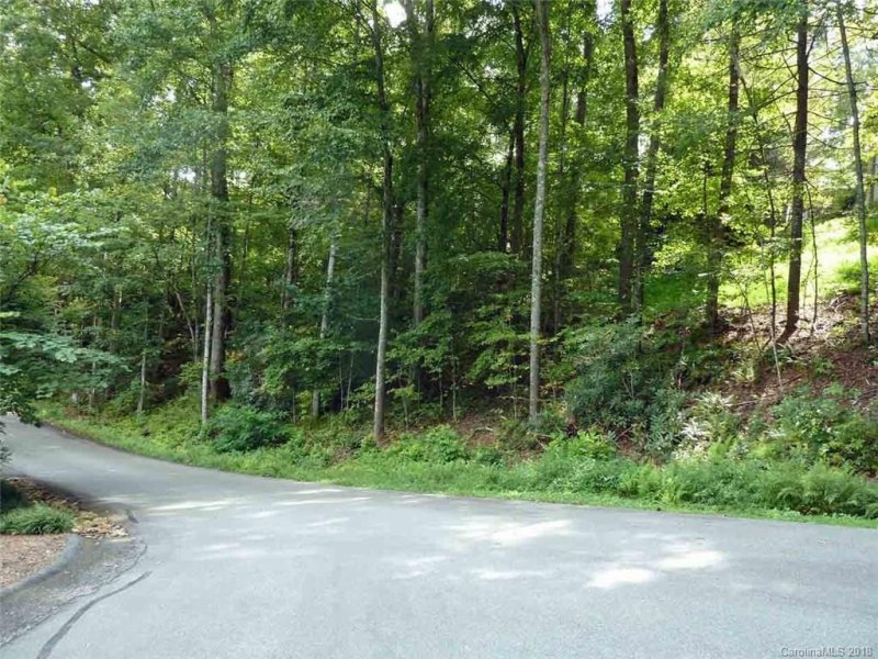 Property image 3 at 20 Caroline Lane, Pisgah Forest, NC 28768