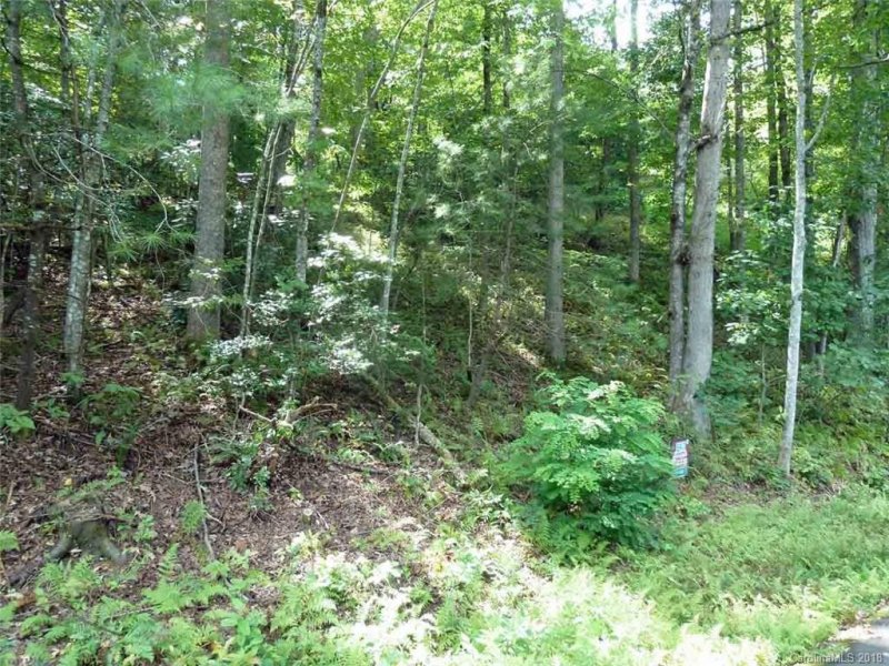 Property image 5 at 20 Caroline Lane, Pisgah Forest, NC 28768