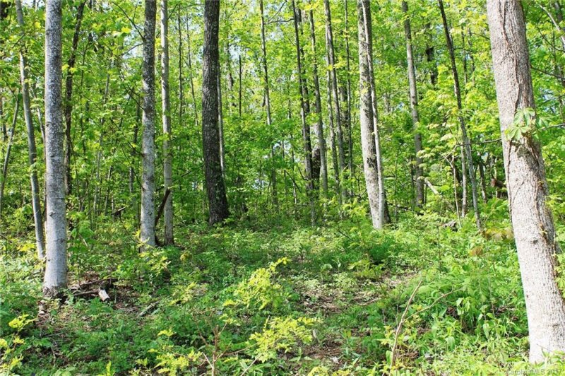 Property image 4 at Lot 37 Cobblestone None, Zirconia, NC 28790