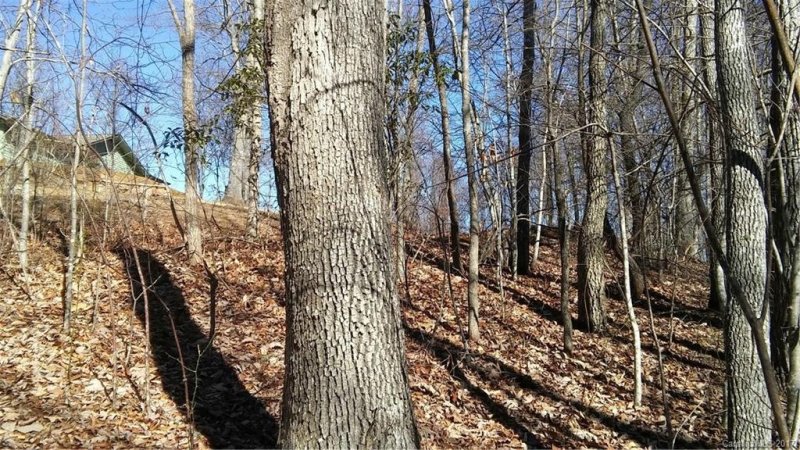 Property image 3 at 99999 Wildwood Acres Road, Burnsville, NC 28714