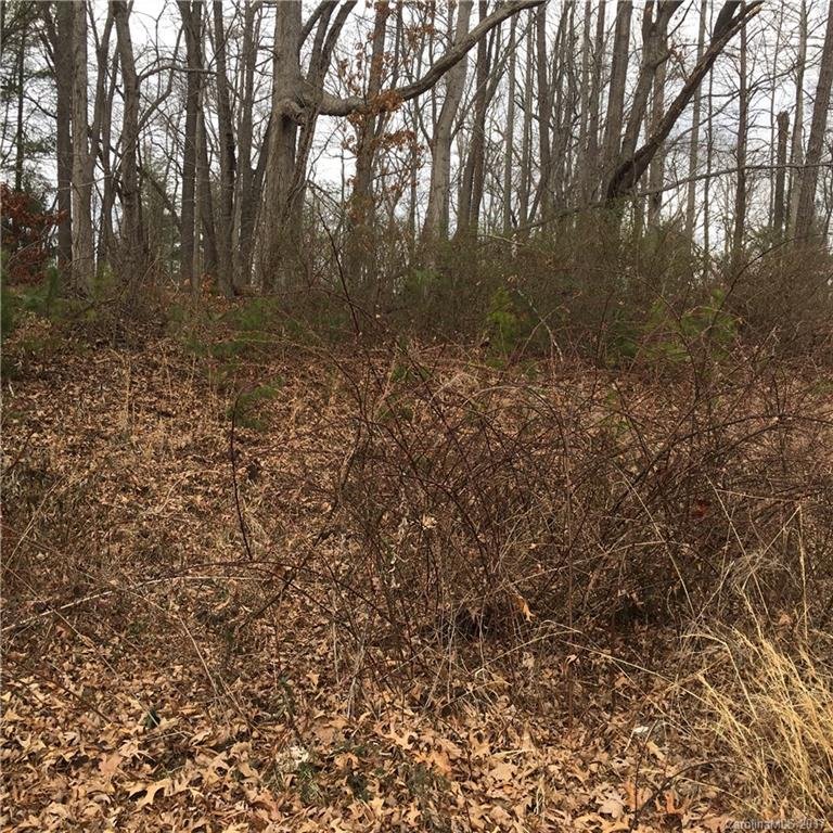 Property image 2 at 29 Farm Pond Lane, Candler, NC 28715