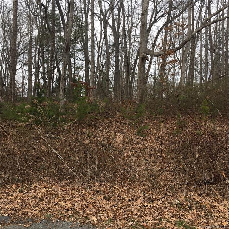 Property image 3 at 29 Farm Pond Lane, Candler, NC 28715