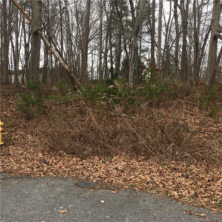 Property image 4 at 29 Farm Pond Lane, Candler, NC 28715