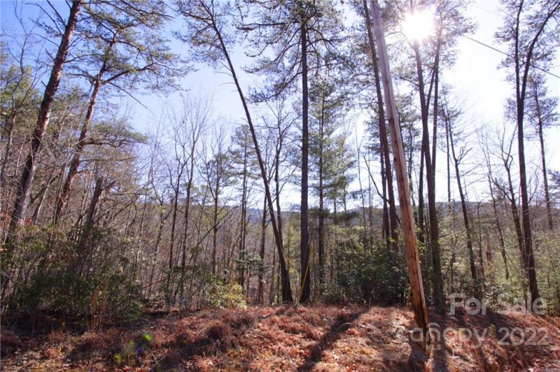 Property image 2 at Lot 50 Round Mountain Road, Brevard, NC 28712