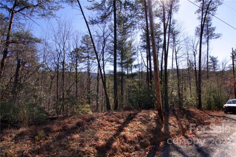 Property image 4 at Lot 50 Round Mountain Road, Brevard, NC 28712
