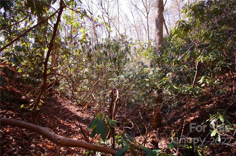 Property image 5 at Lot 50 Round Mountain Road, Brevard, NC 28712