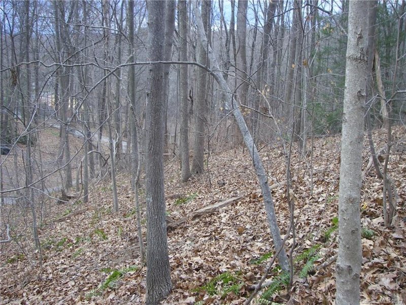 Property image 2 at 40 Pleasant Hill Circle, Waynesville, NC 28786