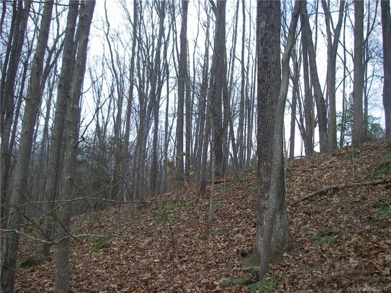 Property image 4 at 40 Pleasant Hill Circle, Waynesville, NC 28786