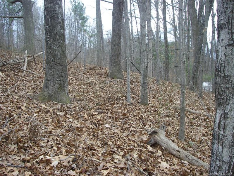 Property image 5 at 40 Pleasant Hill Circle, Waynesville, NC 28786