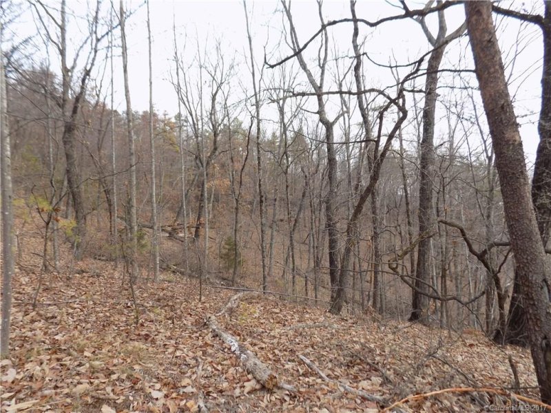 Property image 2 at 0 Deer Path, Union Mills, NC 28167