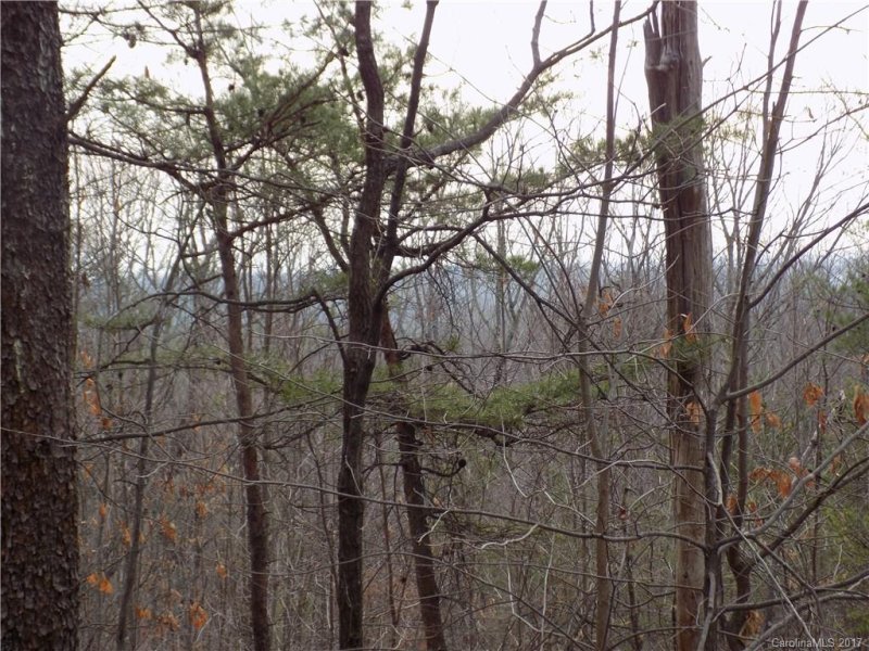 Property image 3 at 0 Deer Path, Union Mills, NC 28167