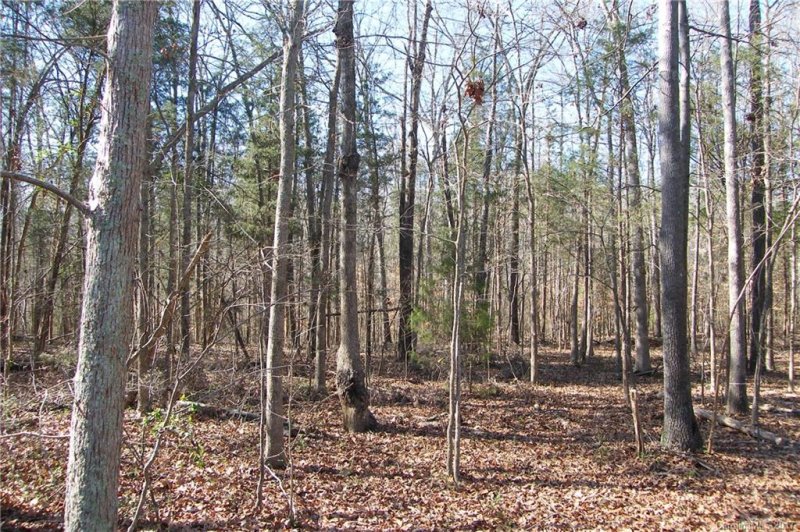 Property image 3 at 9012 Deervalley Court, Waxhaw, NC 28173