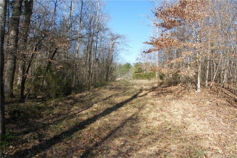 Property image 5 at 9012 Deervalley Court, Waxhaw, NC 28173